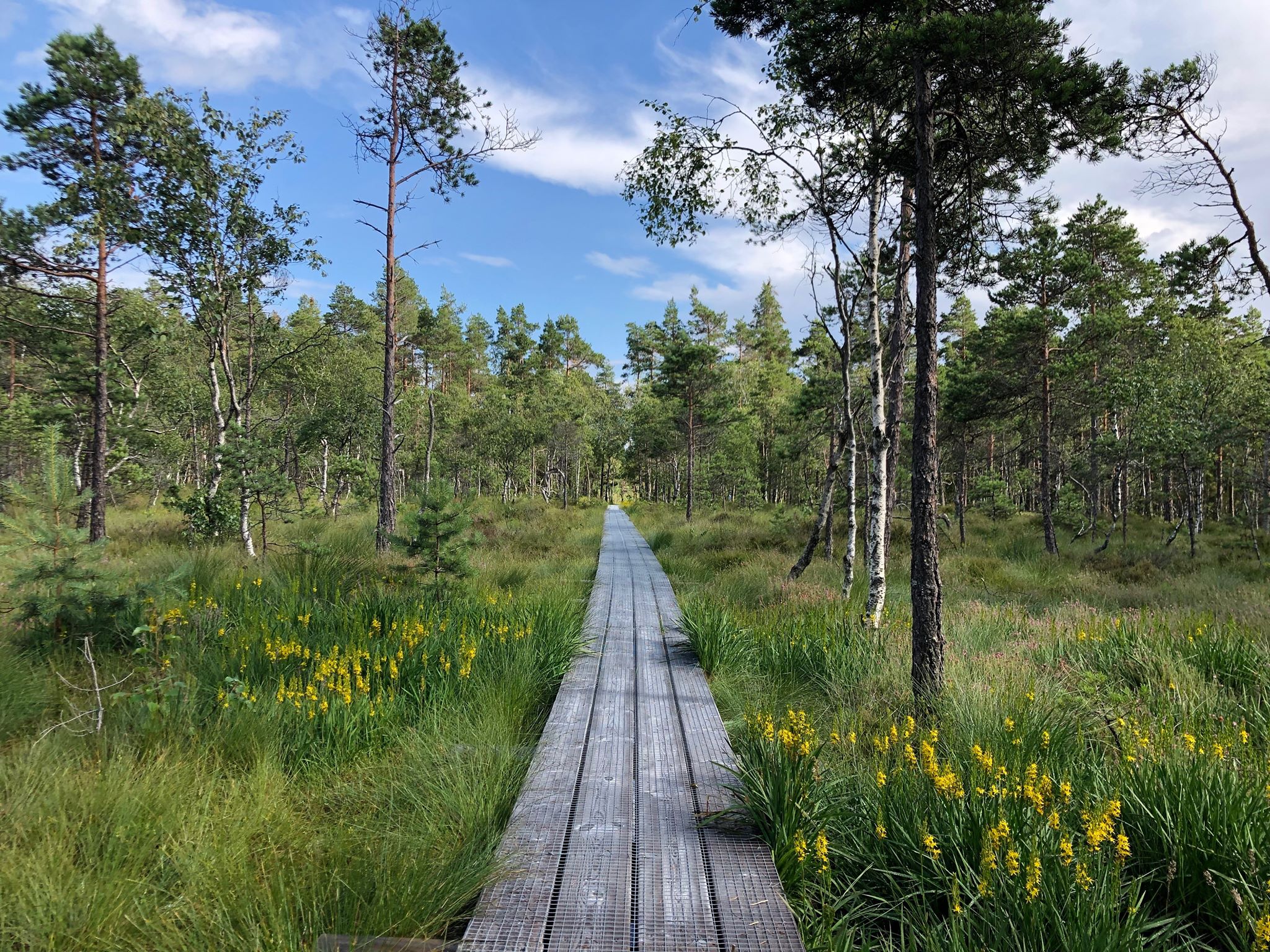 Komosse naturreservat i Ulricehamn