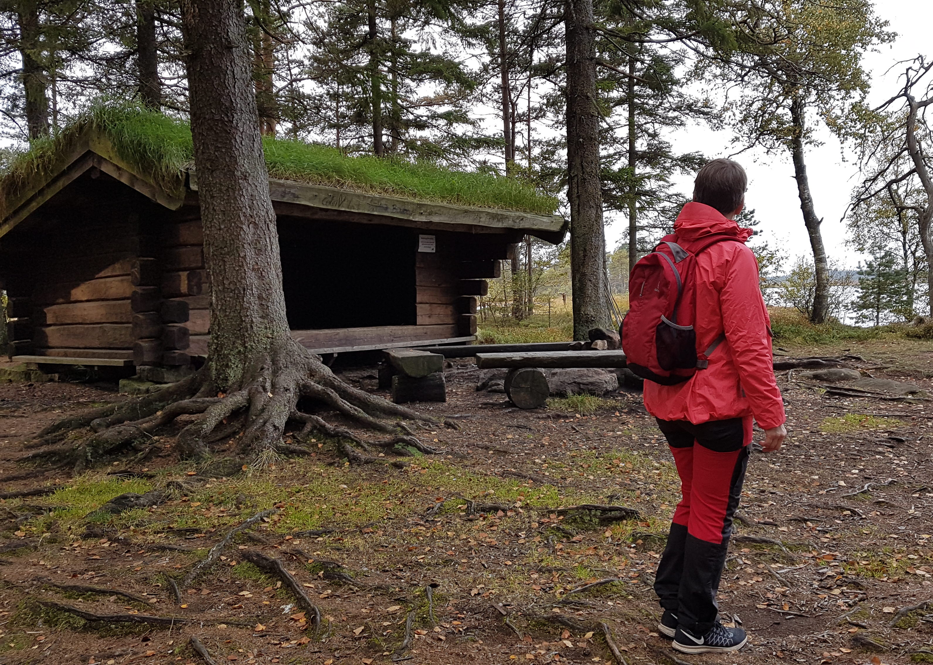 Enjoy the nature at Komosse in Ulricehamn. The hiking track Björnöleden is 5 km.