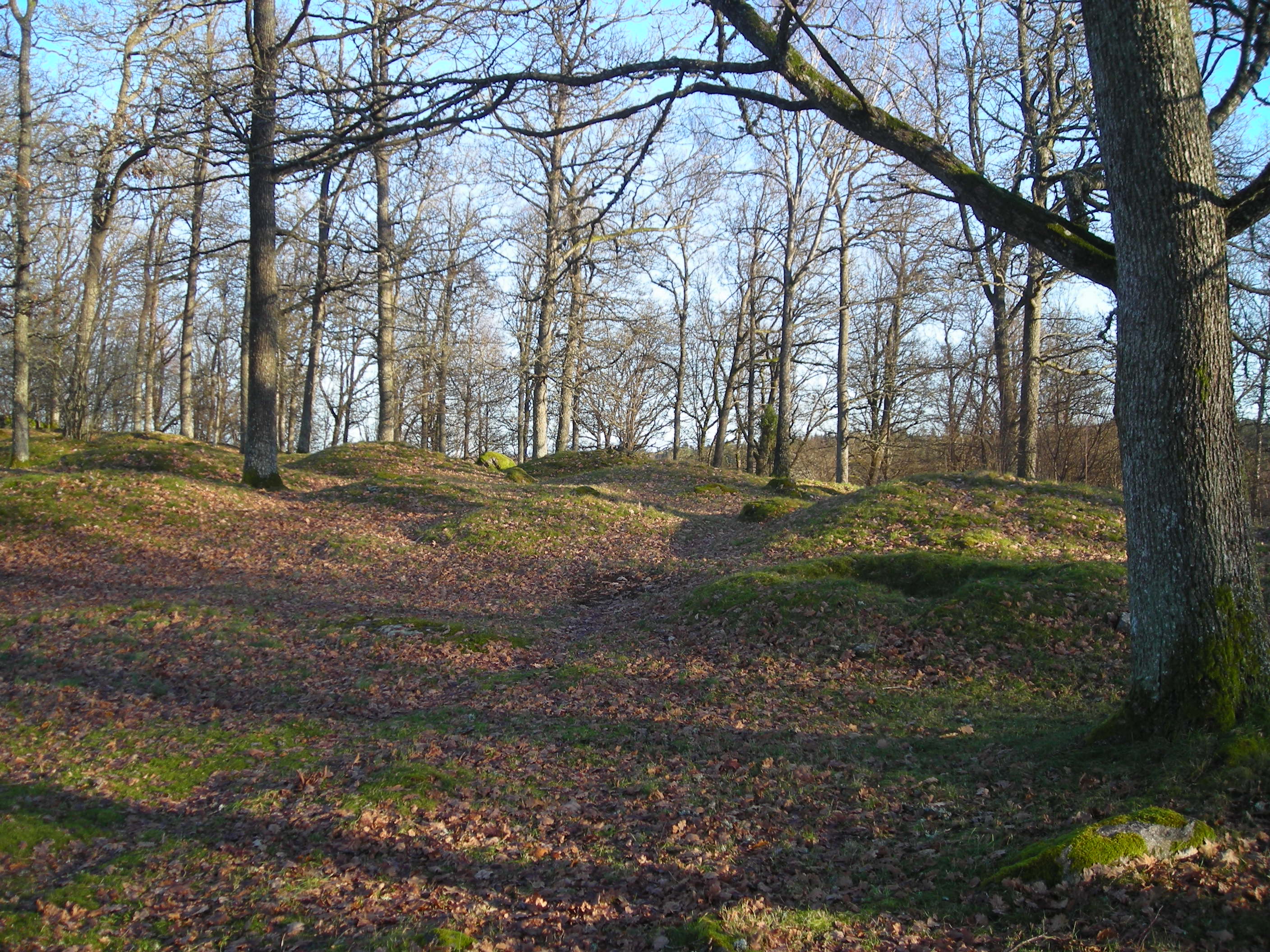 Kummeliberg gravfält