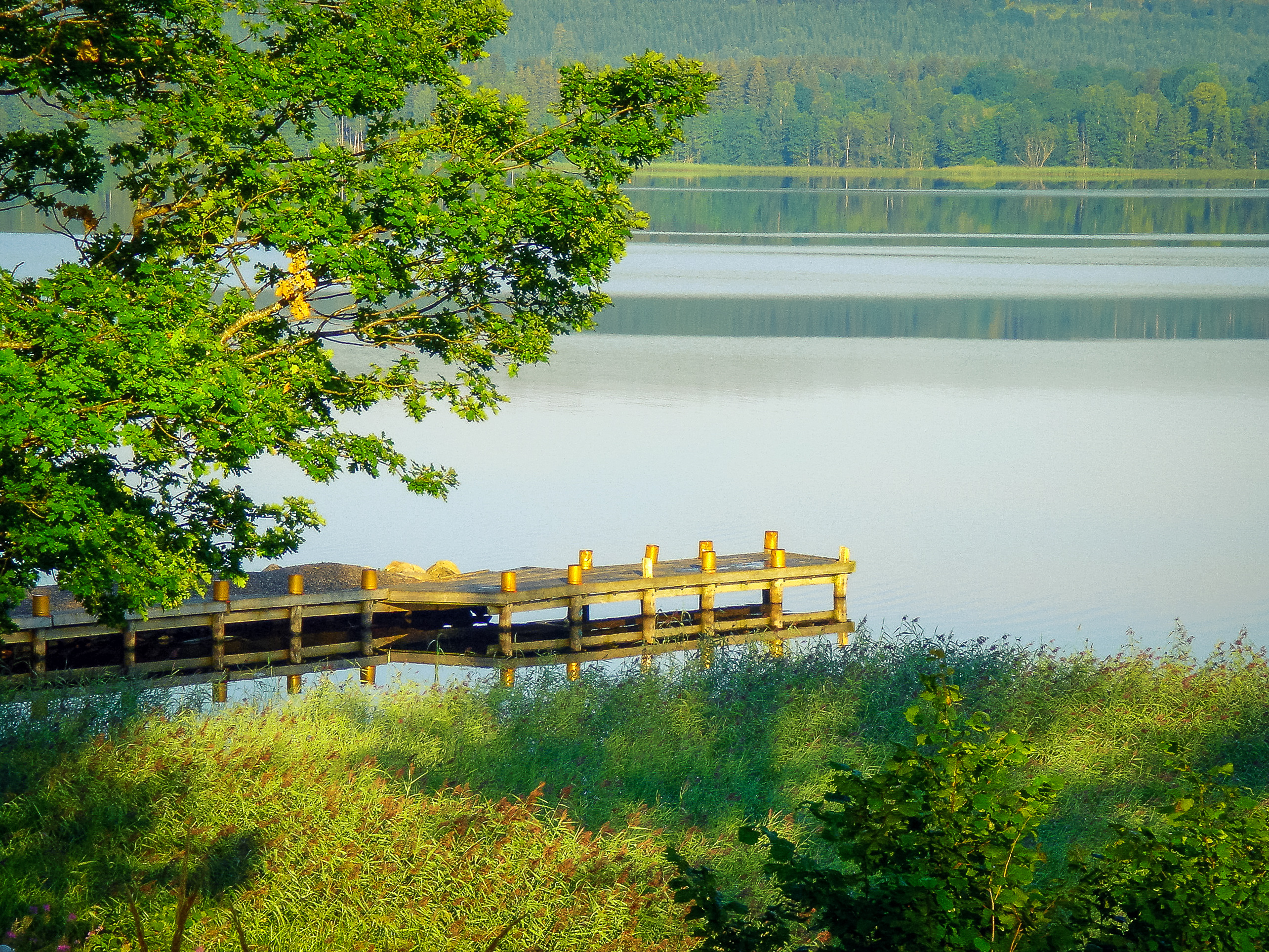 På Skotteksgårdens Camping och stugby bor du vackert intill sjön Åsunden i Ulricehamn. 