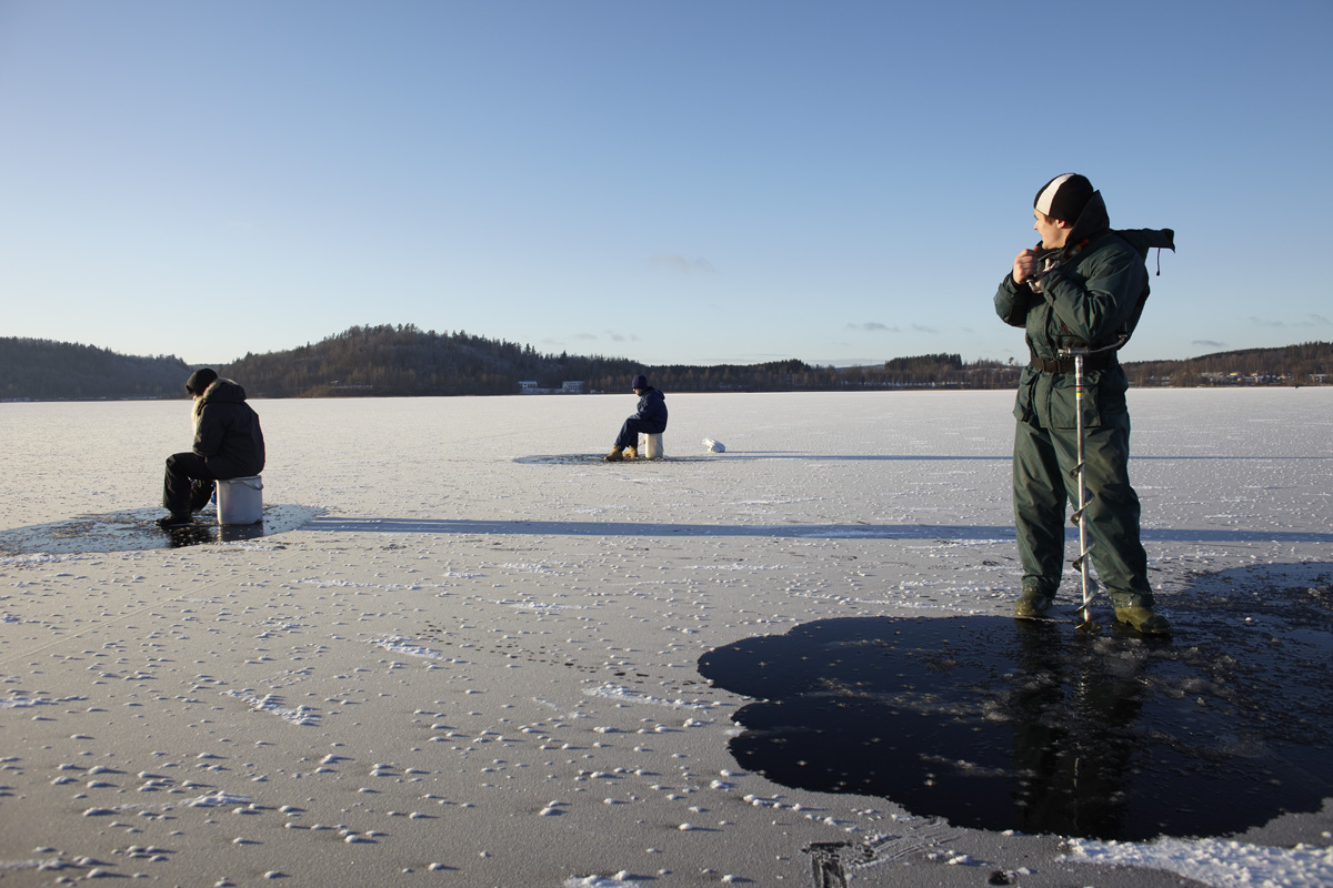 Tre personer fiskar på is