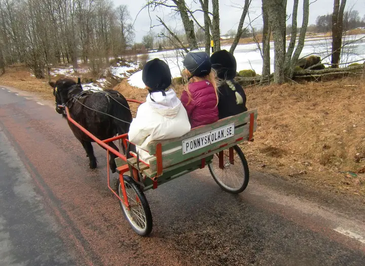 Ponnyskolan