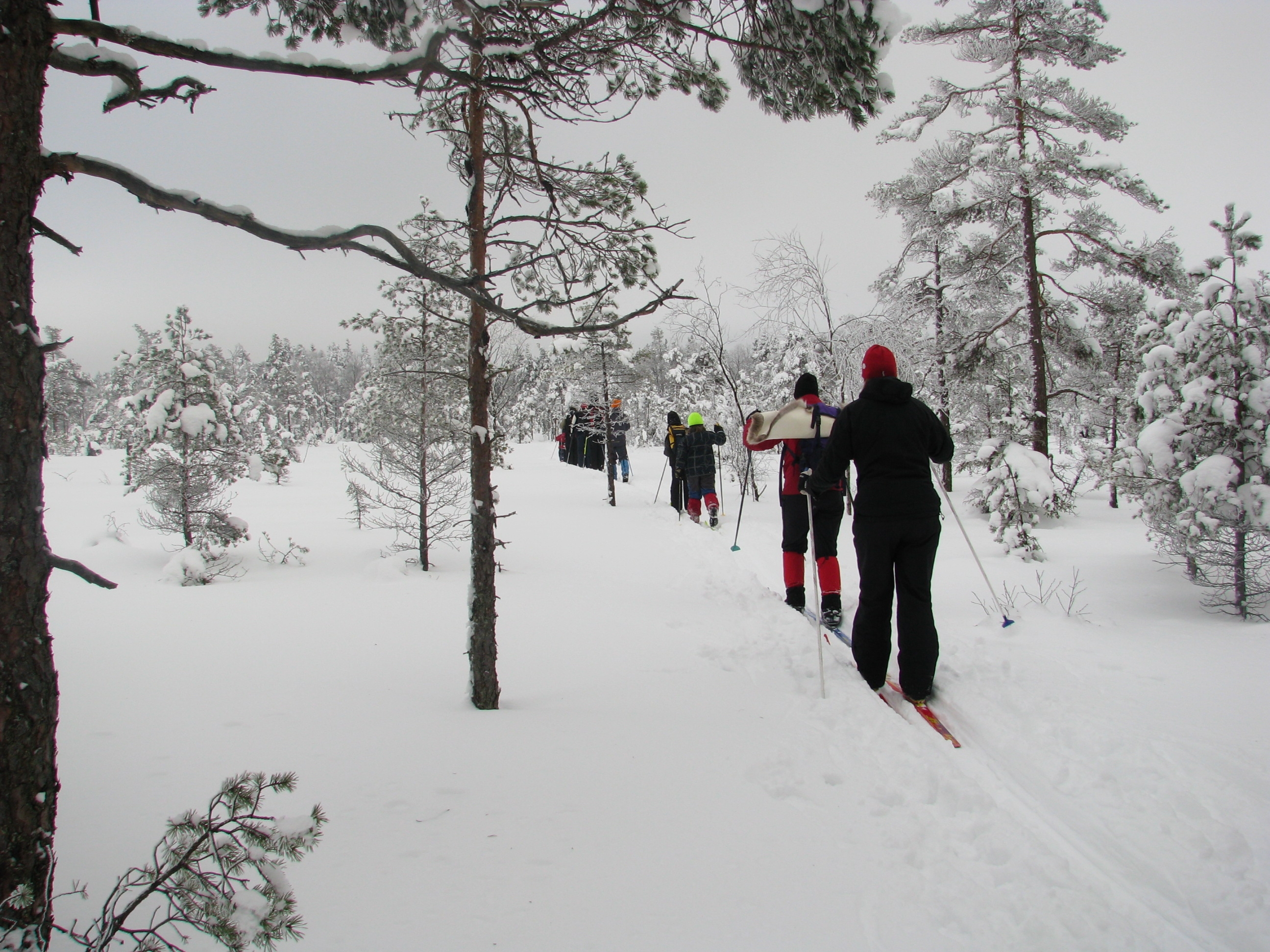 Komosse naturreservat i Ulricehamn