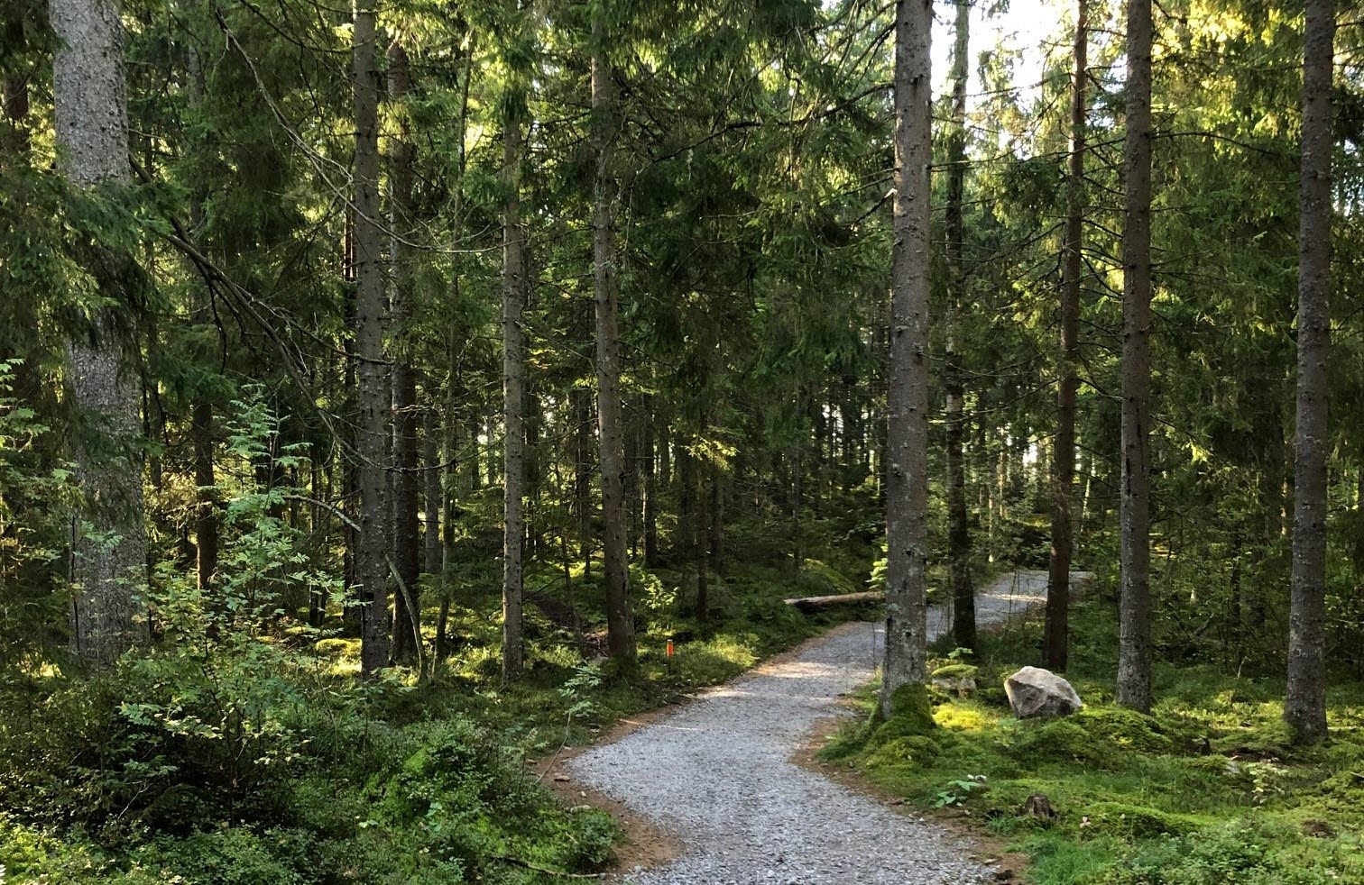 Grusad stig i Ulricehamn