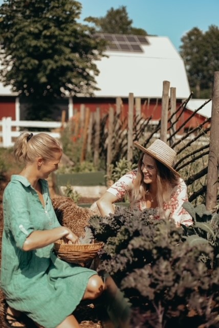 Två kvinnor plockar grönsaker