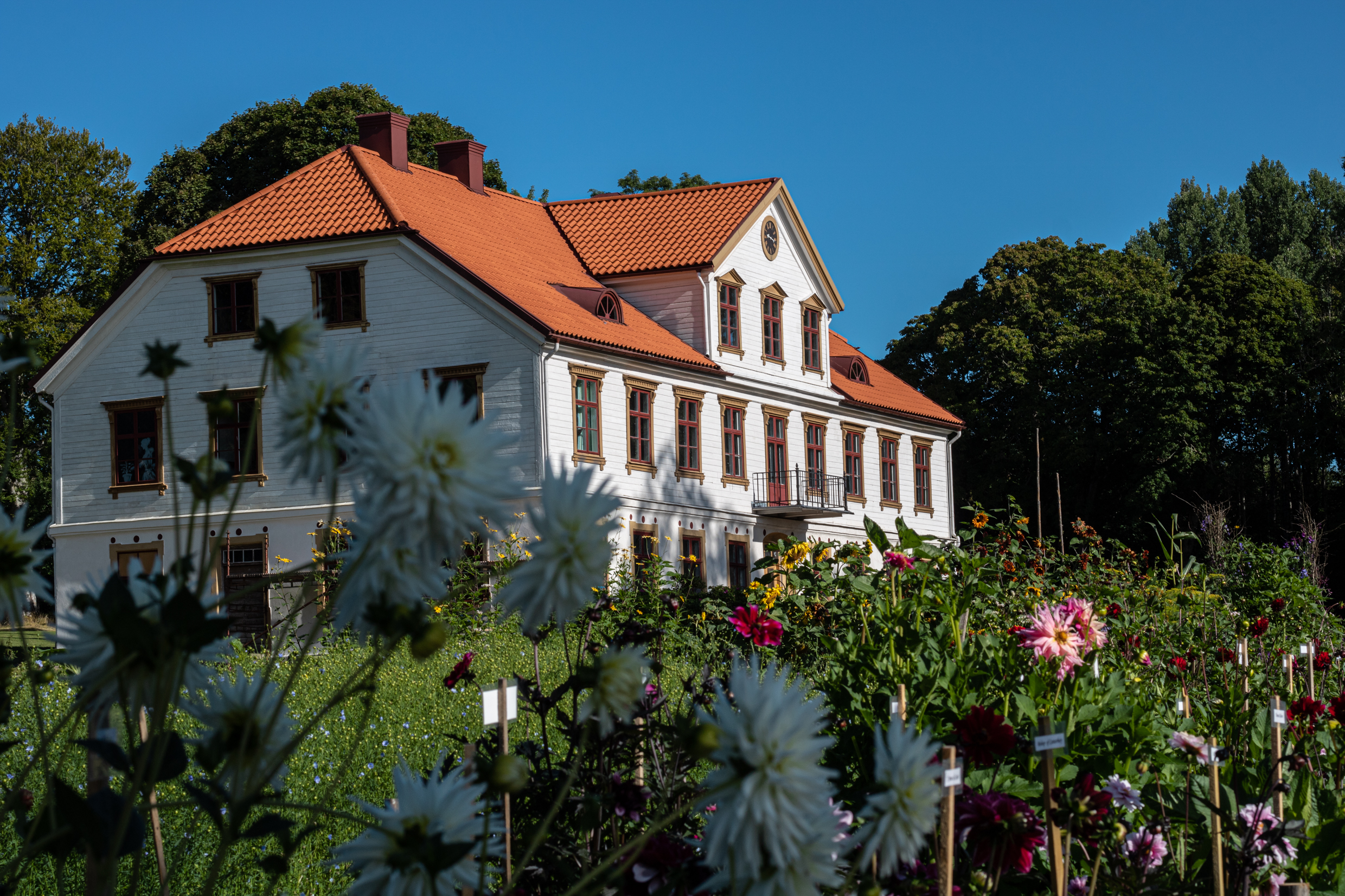 Årås säteri med blommande köksland 