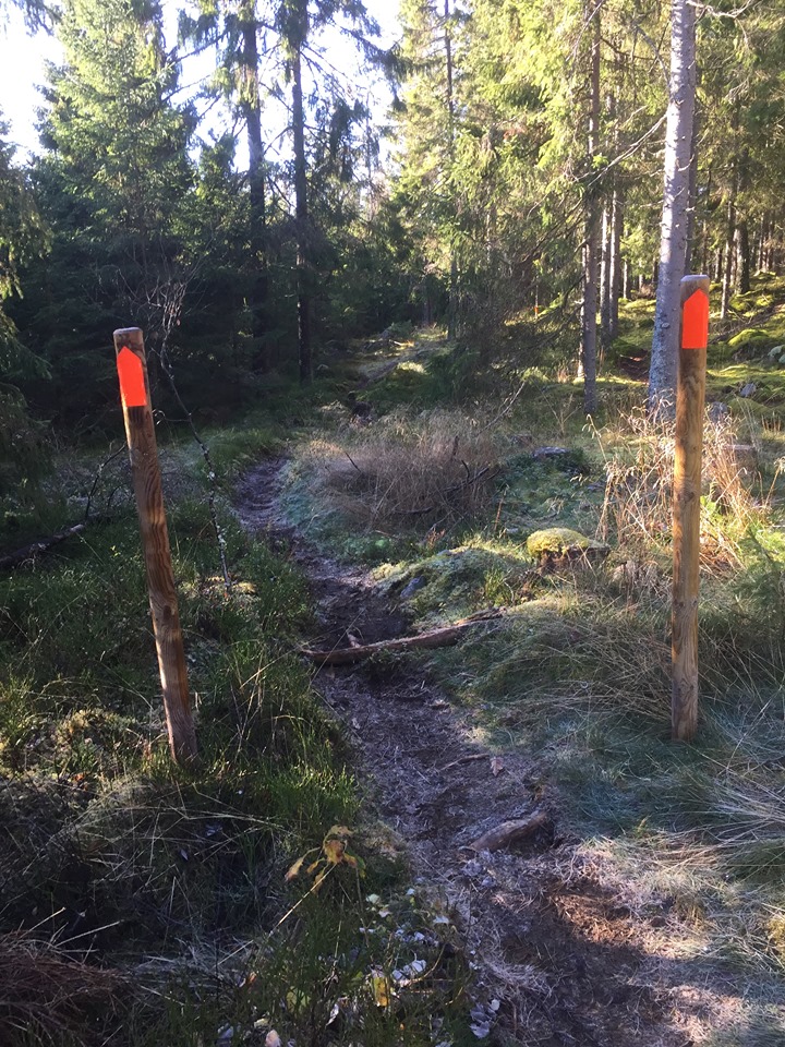 Trailbanan på Lassalyckan i Ulricehamn är en uppmärkt stig i skogen som erbjuder härlig trail i naturlig miljö.