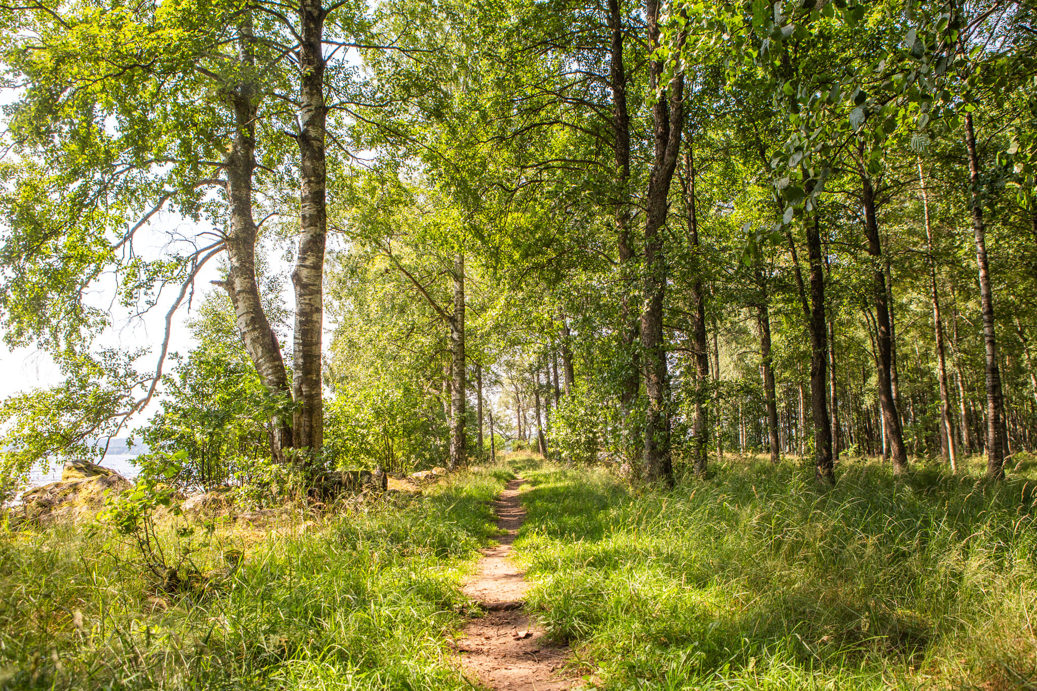 Vildmarksleden i Ulricehamn. Vandringsled.