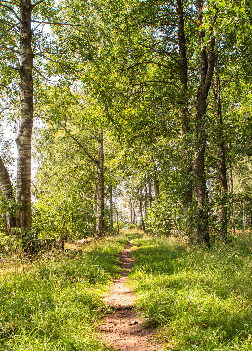 Vildmarksleden i Ulricehamn. Vandringsled.