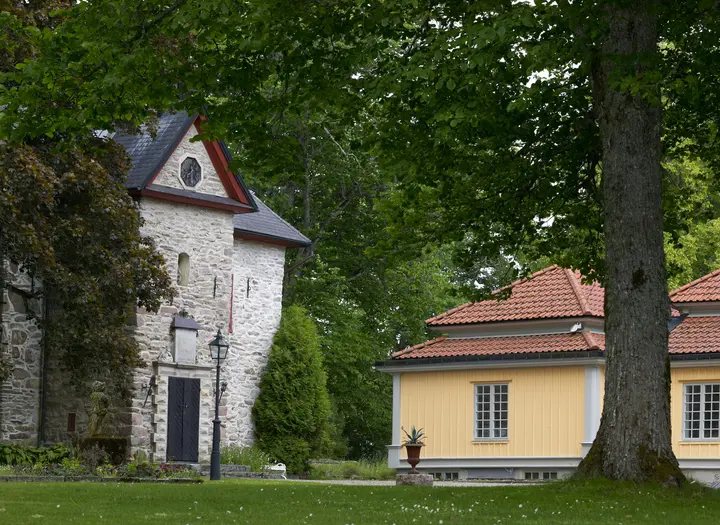Vinsarp
