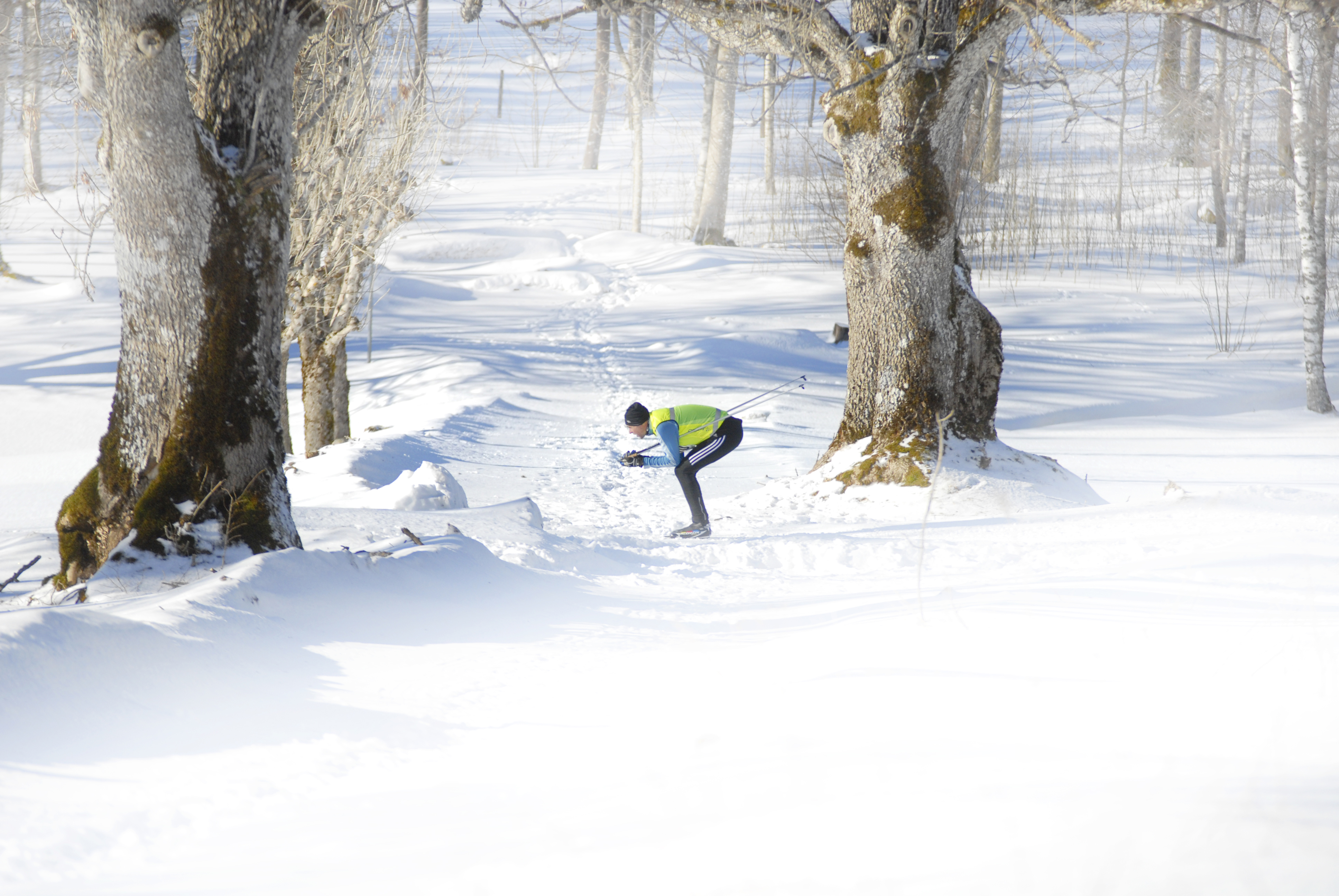 Skidåkare i vitt vinterlandskap