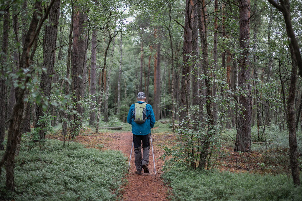 Man ute och vandrar i skogen. 