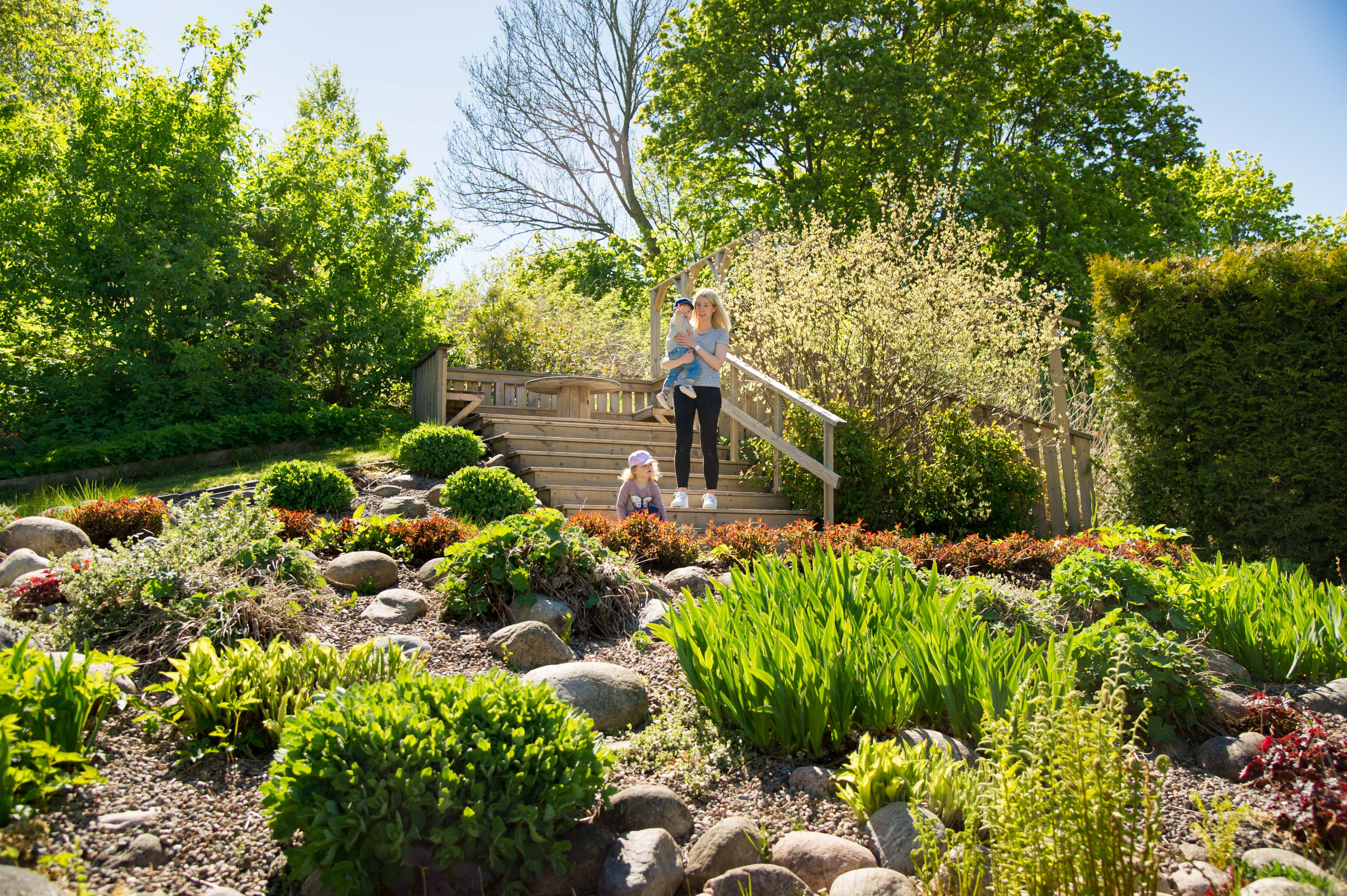 En park med olika låga växter. En person med två barn syns i bakgrunden.