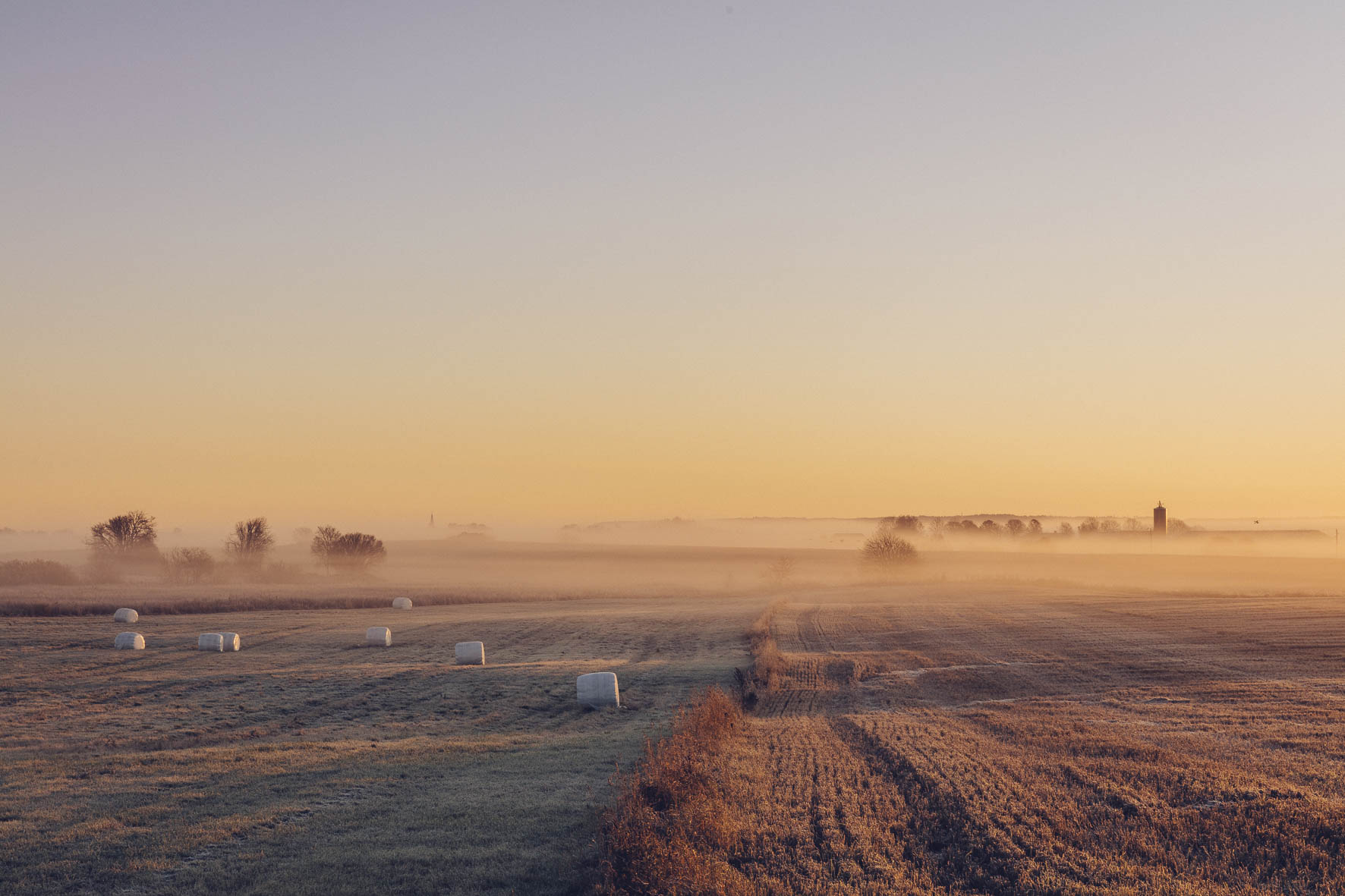 En bild över ett öppet fält i morgondiset.