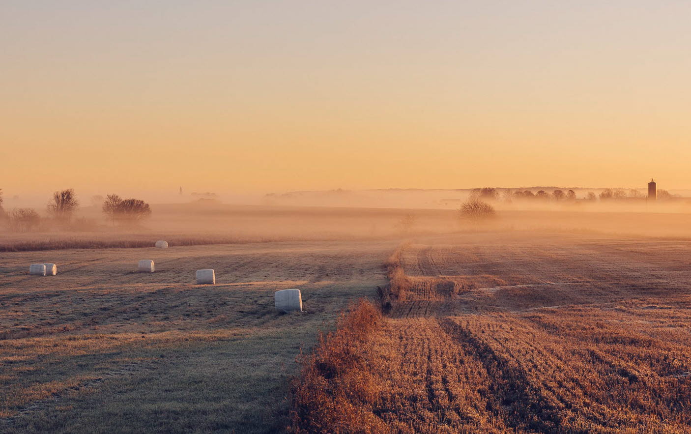 A picture of an open field in the morning mist.