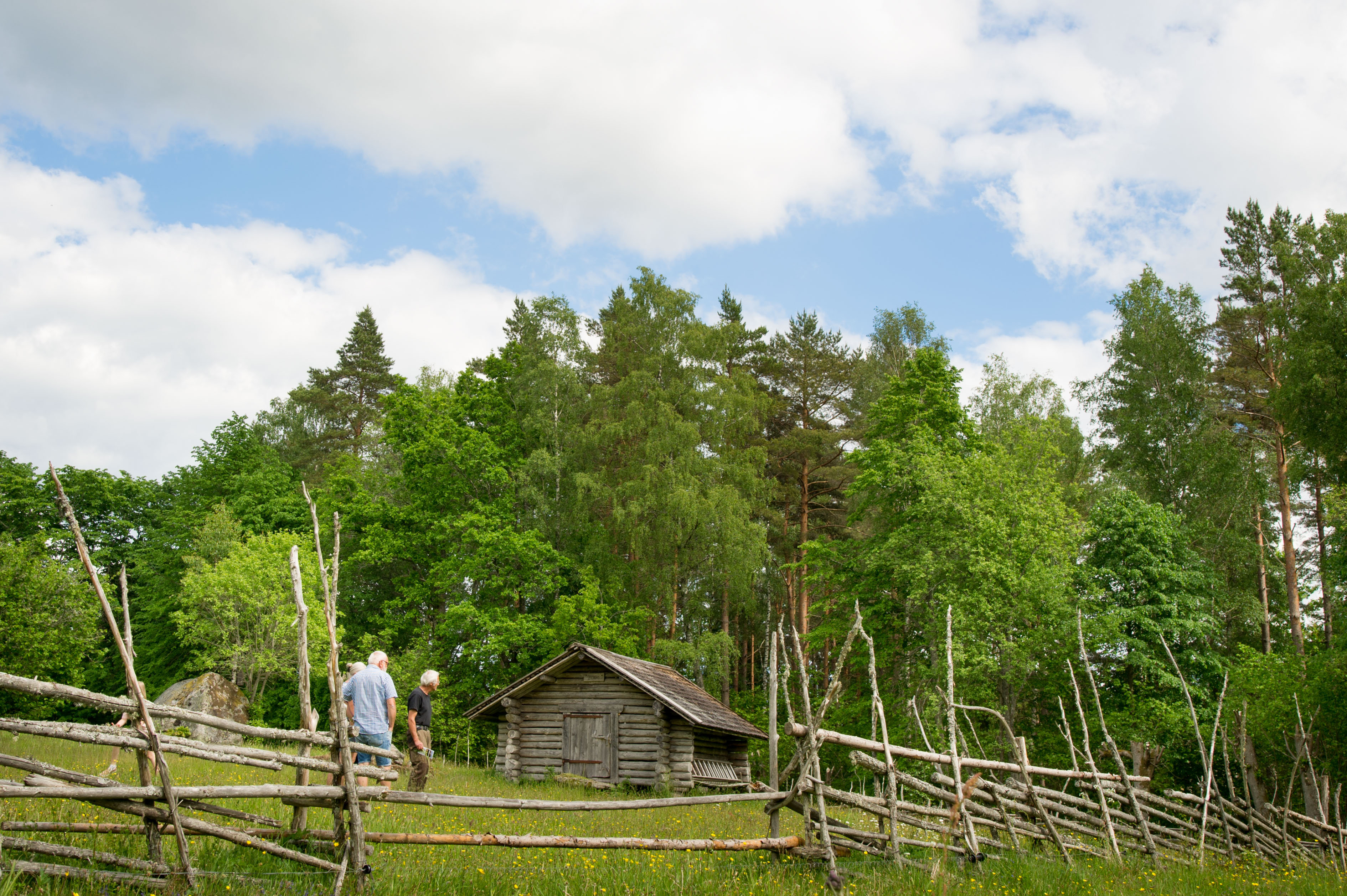 En gammal fäbod i en ängsmiljö med ett staket framför