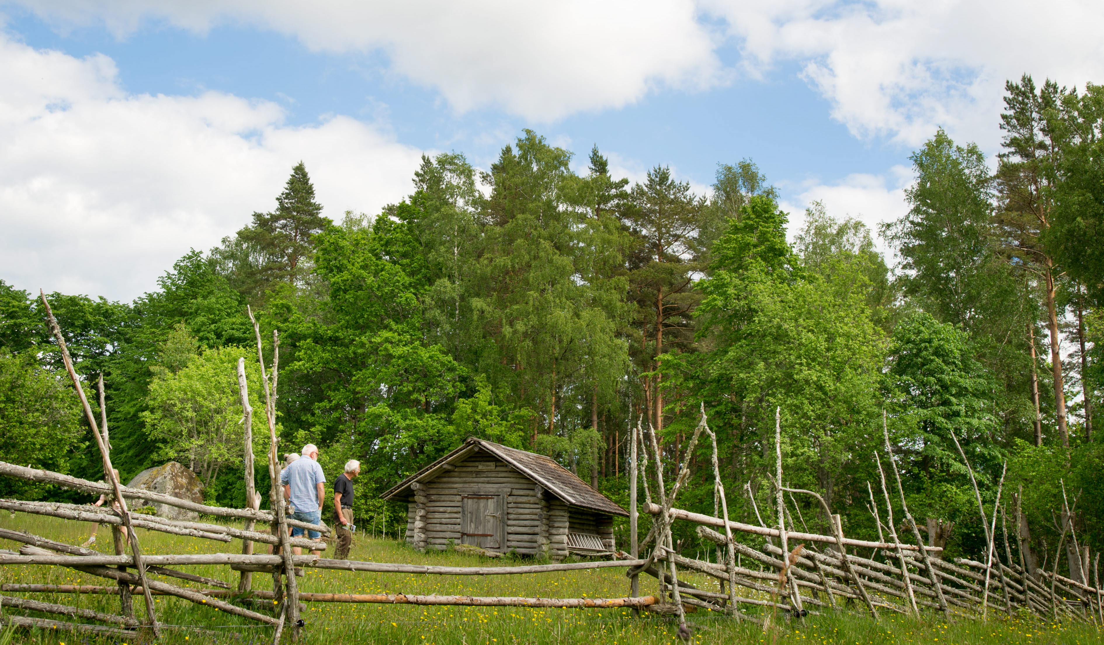 En gammal fäbod i en ängsmiljö med ett staket framför