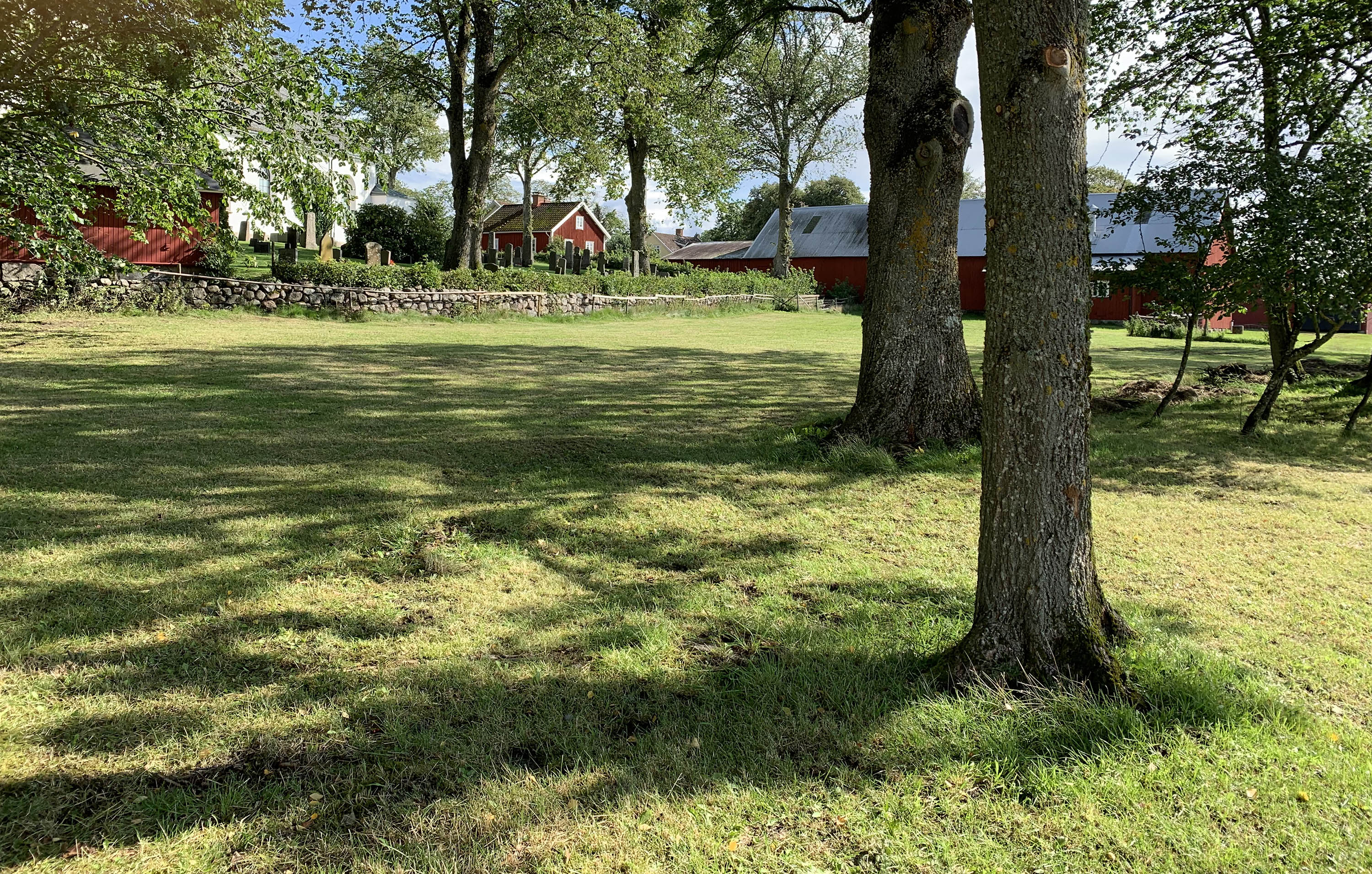 En gräsäng med  några träd i förgrunden