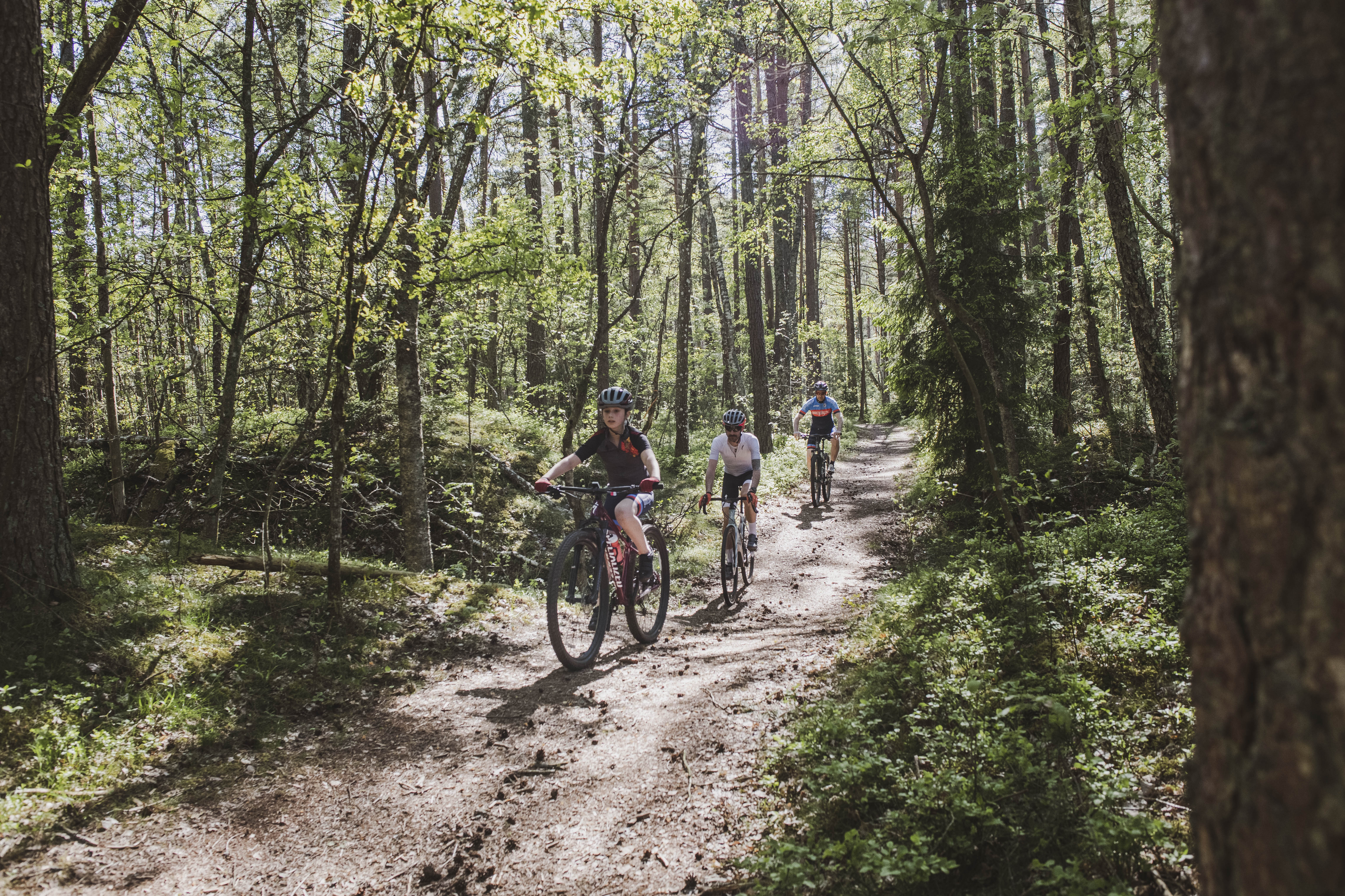 Tre som cyklar mountainbike på en stig i skogen. 