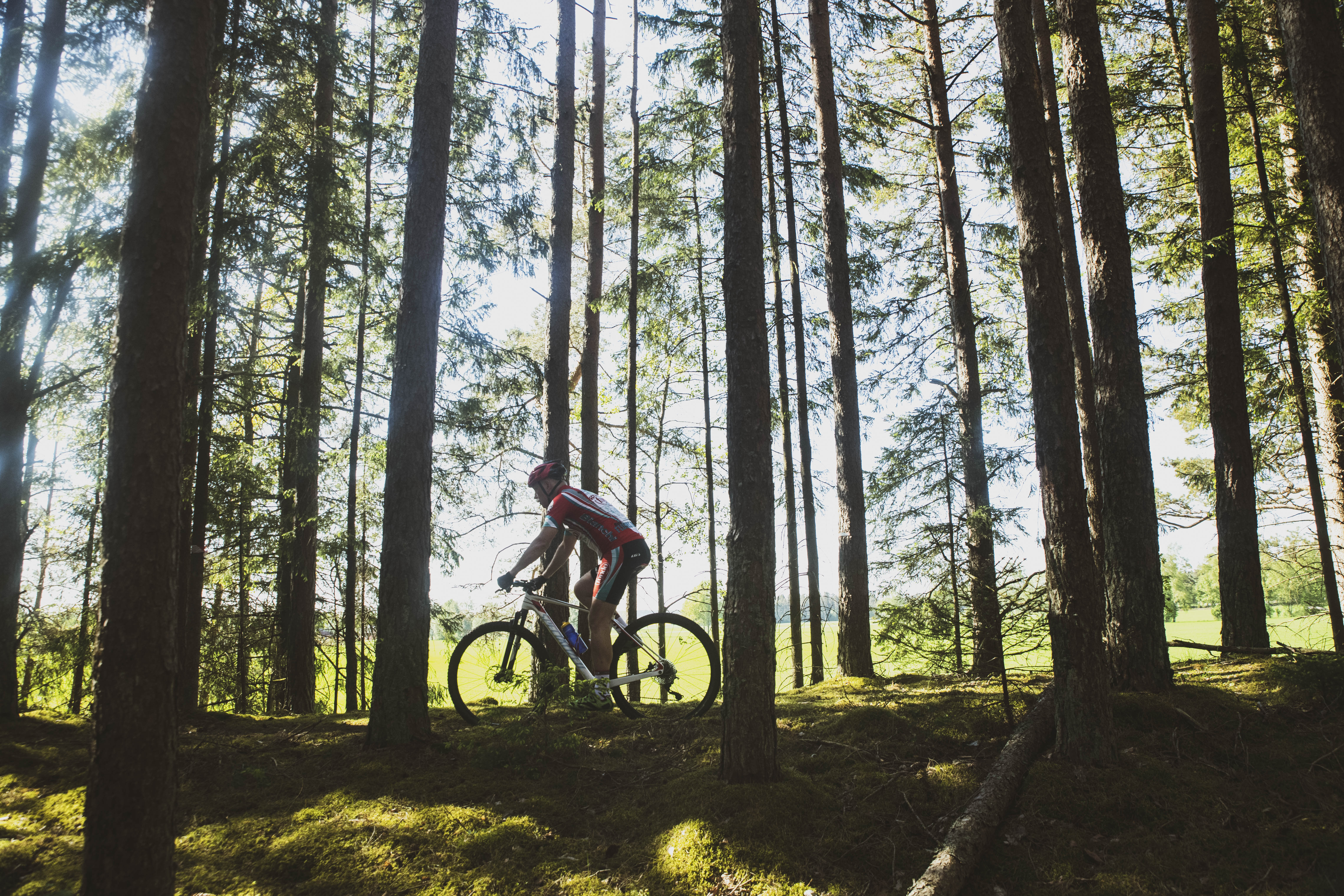 En cyklist i skogen.