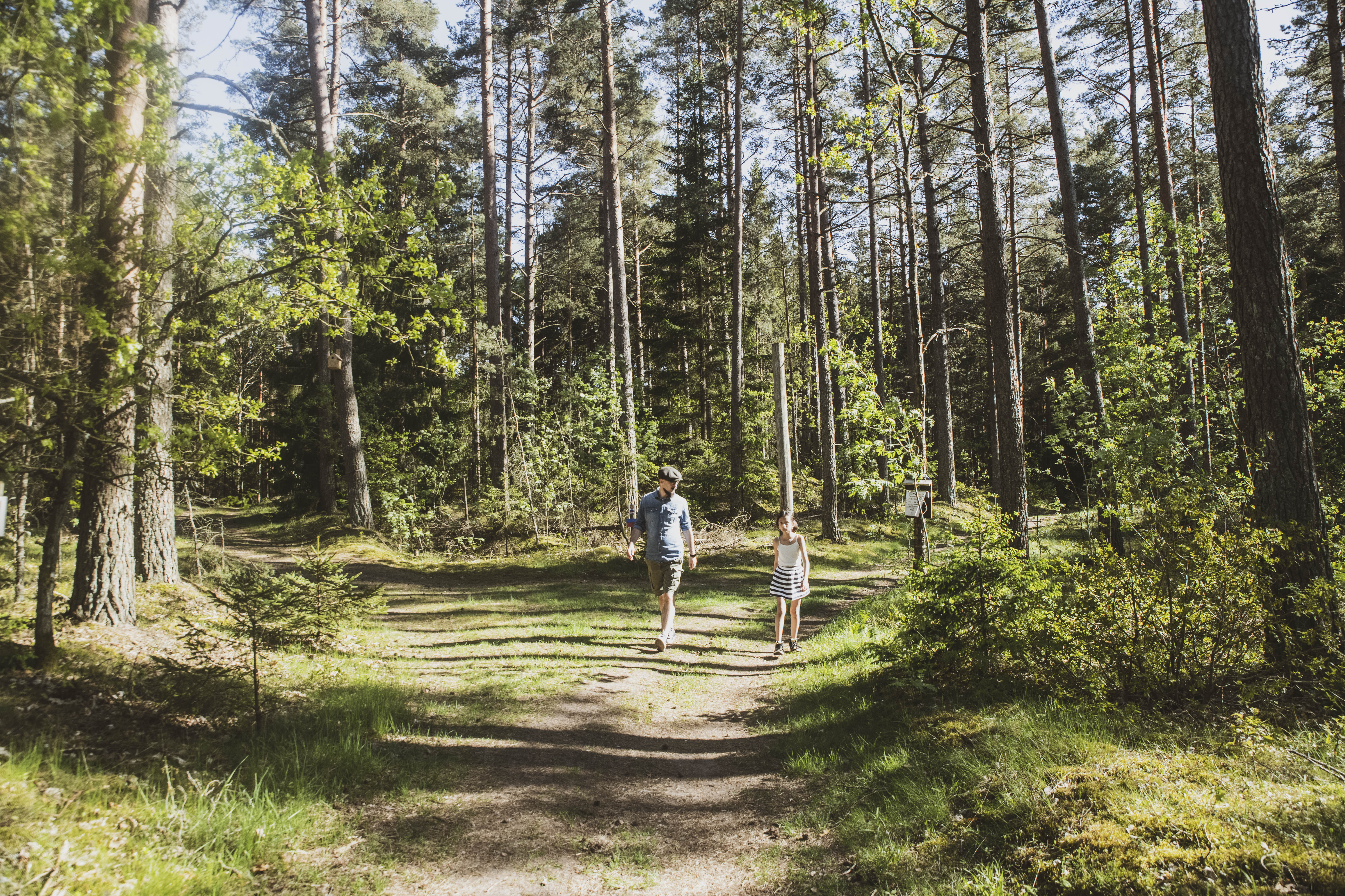 En pappa och dotter som är ute i skogen och går på en stig. 