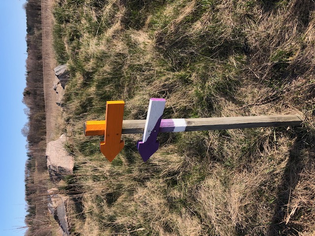 Orange pil och Lila/vit pil