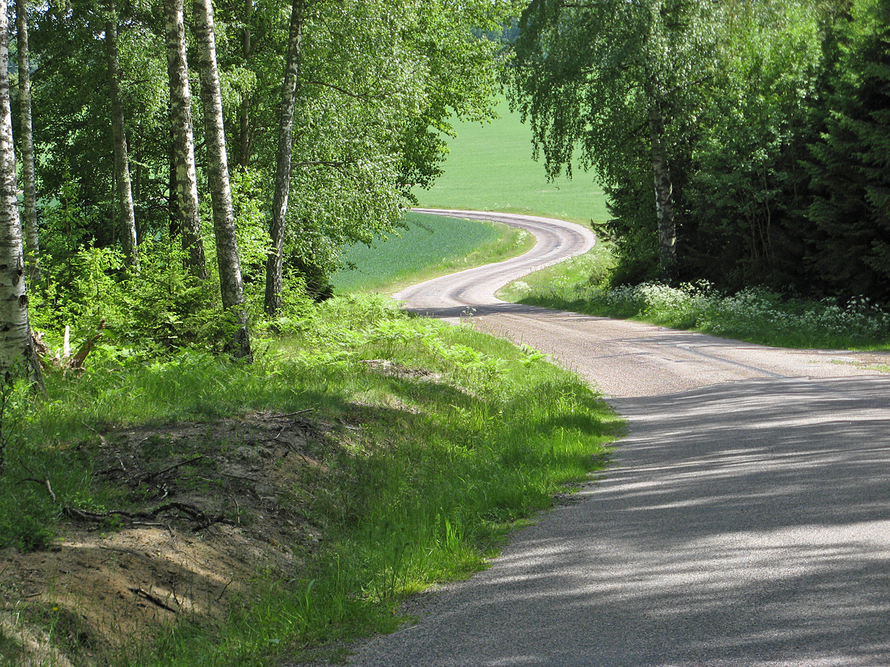 Beautiful road on Ljungleden