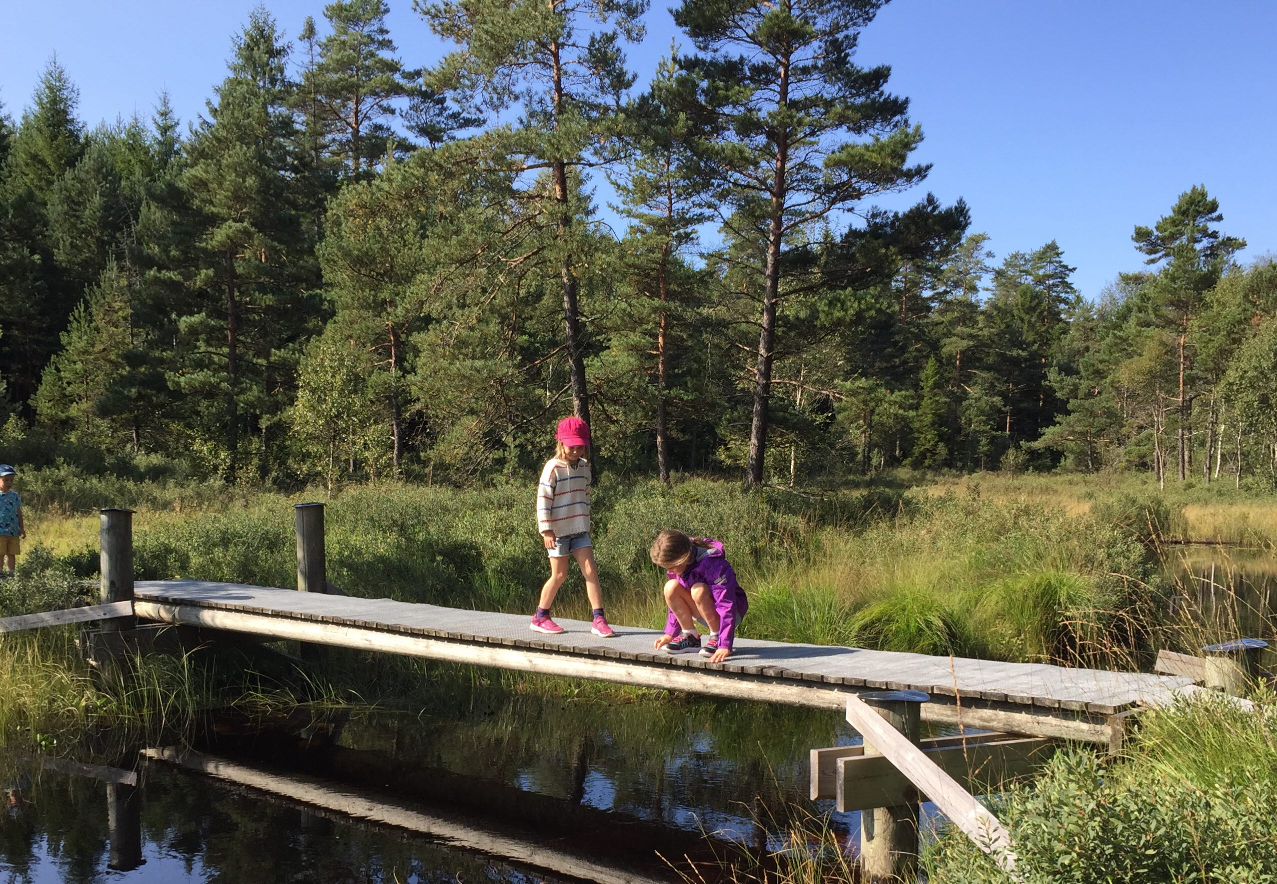 Två barn på en bro över ån vid vandringsleden vid Lidasjön