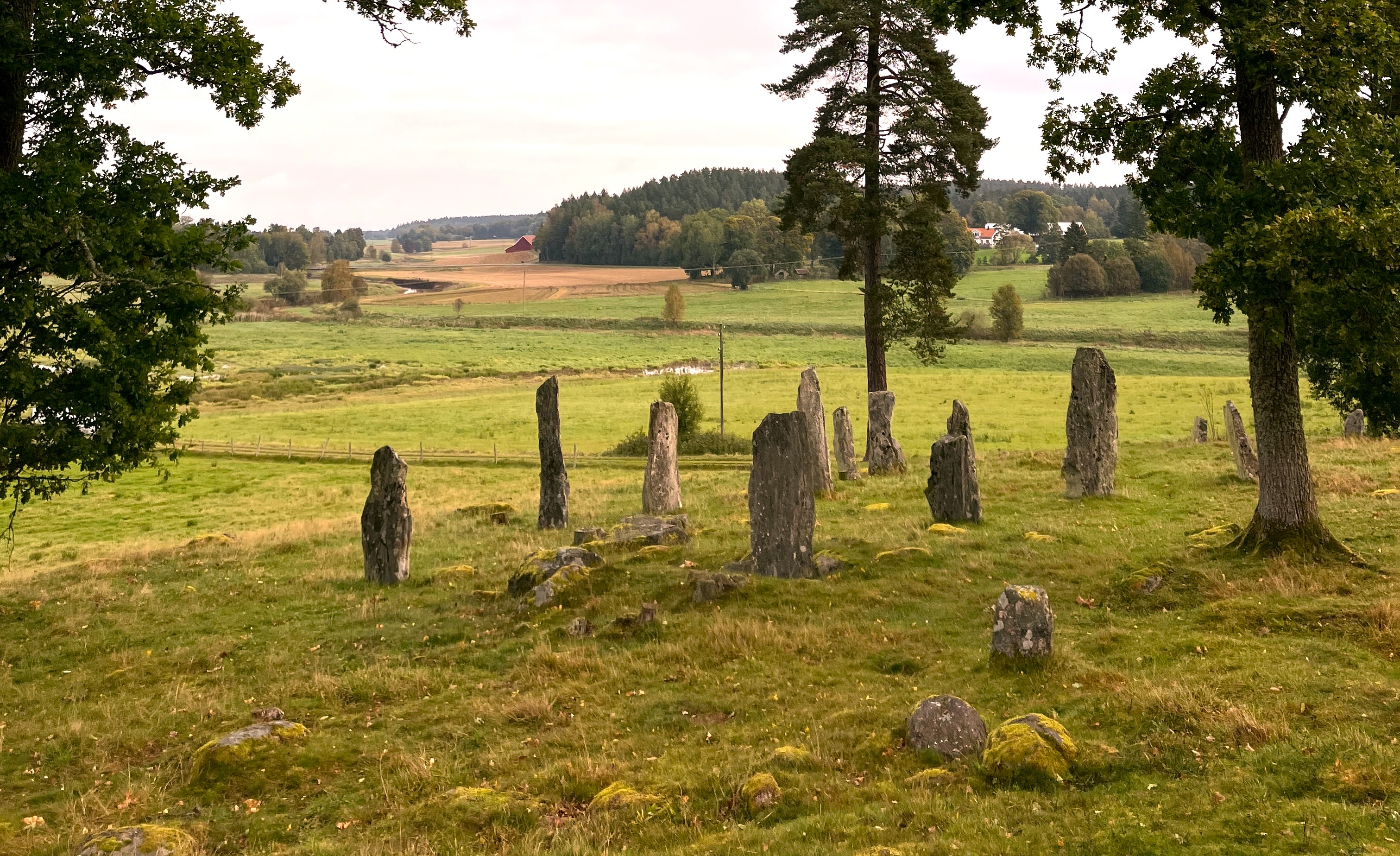 Bild på bautastenar i fornlämningsområdet Lundskulle
