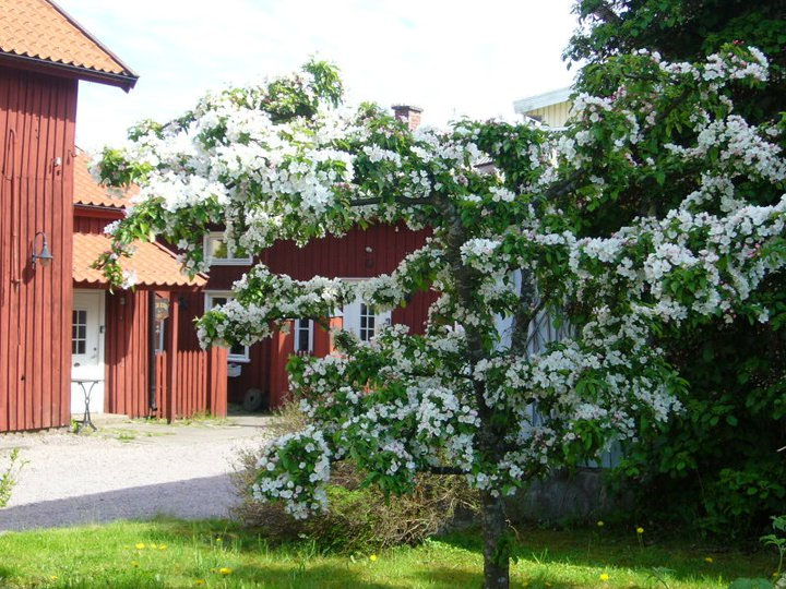 Mikaelsgården