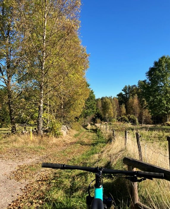 Vy över vandringsleden Ornungaleden