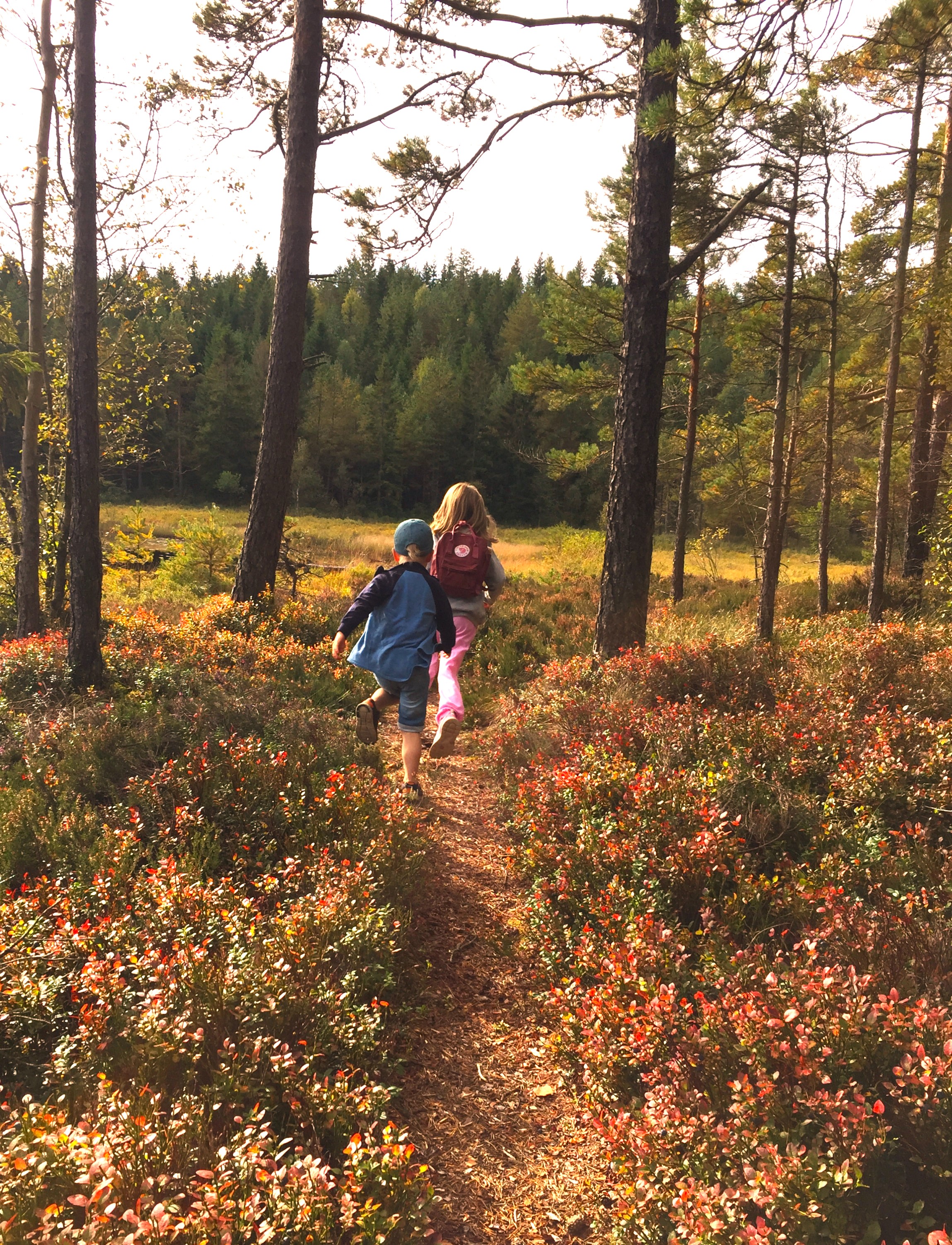 Två barn springer på en stig i höstfärger