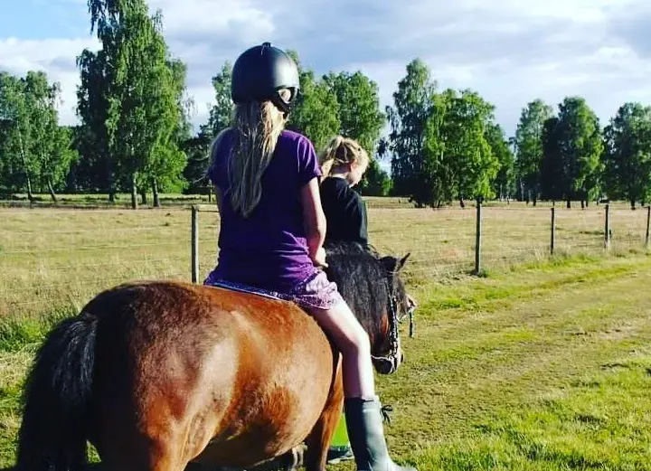 Tånga Hed 4H