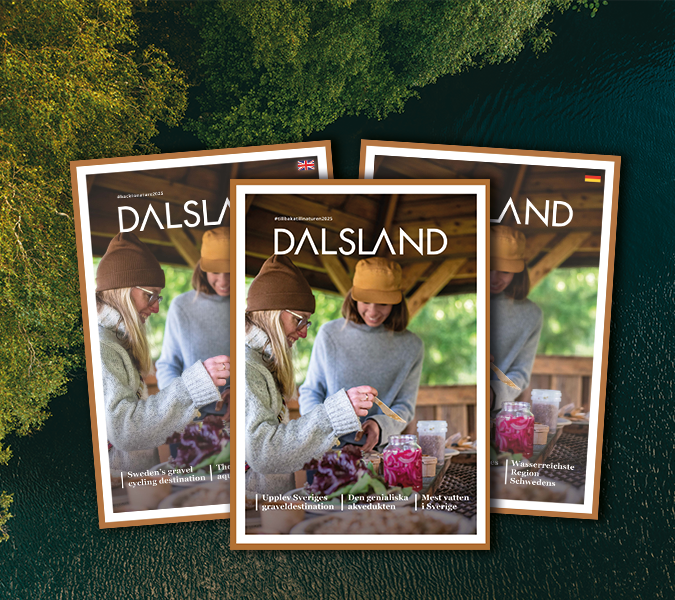 Magasin Dalsland 2025 puff 2x2