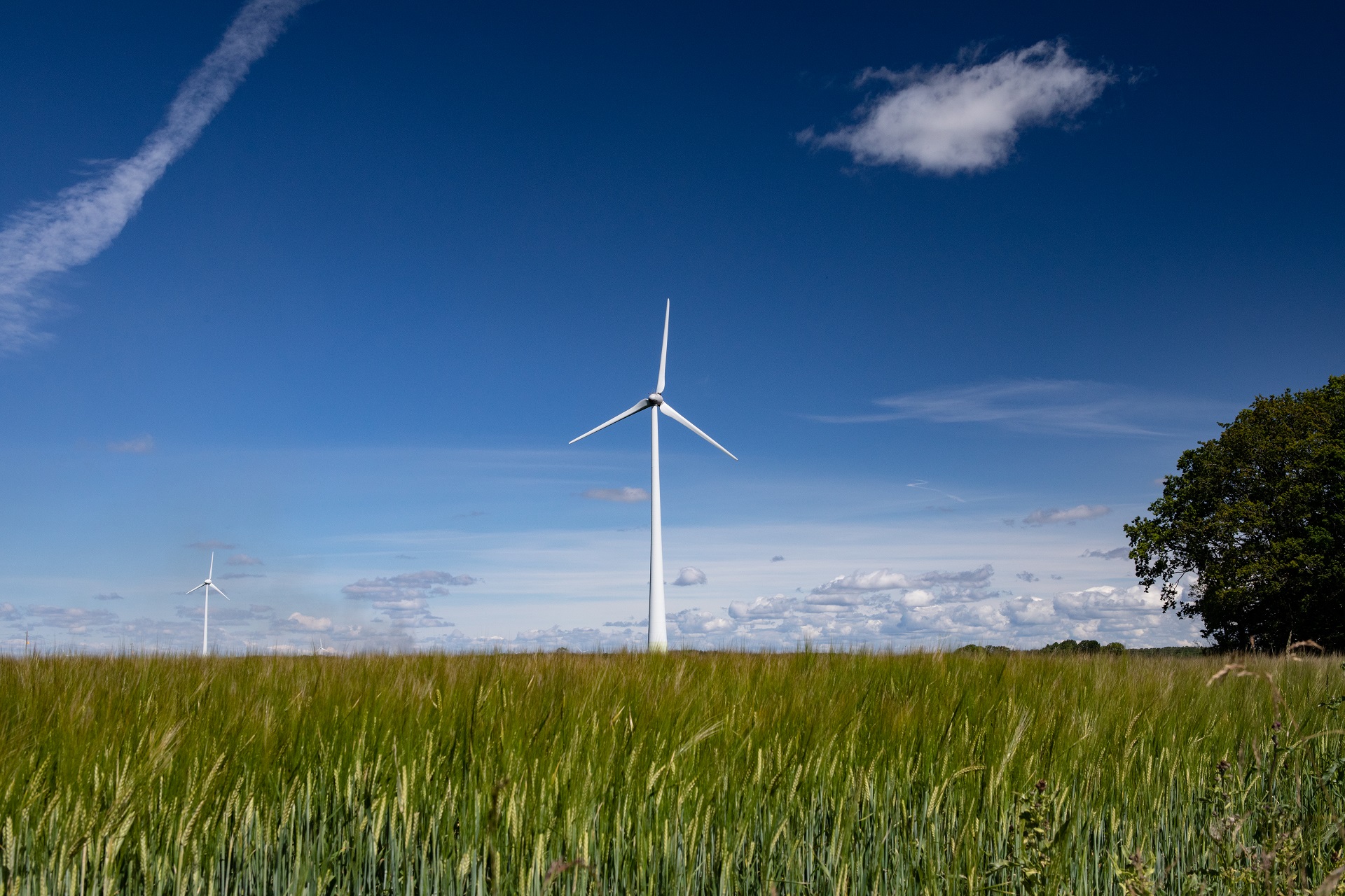 Pilgrimsleden Dalsland, södra delen. 