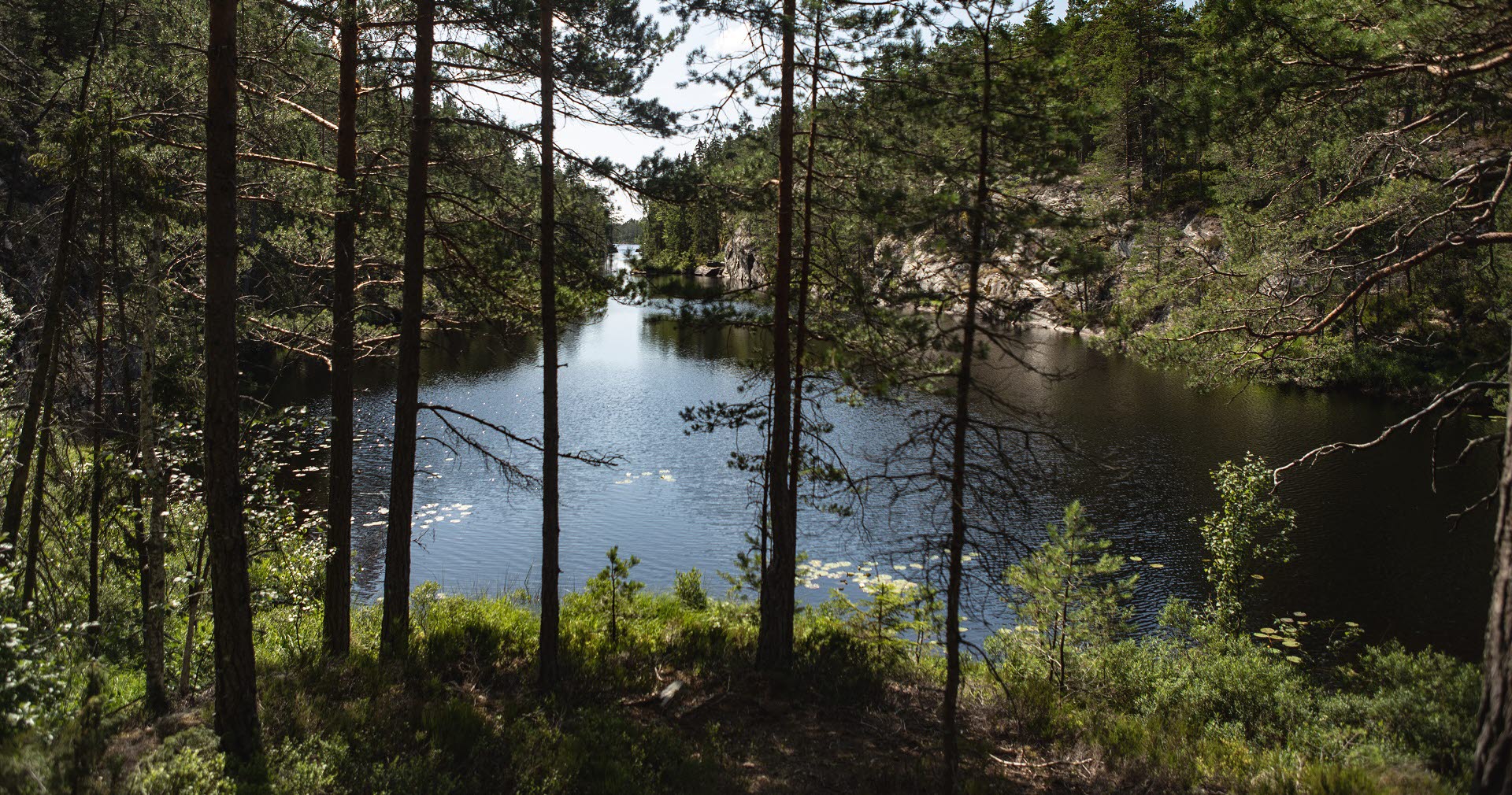 Pilgrimsleden Dalsland, norra delen.