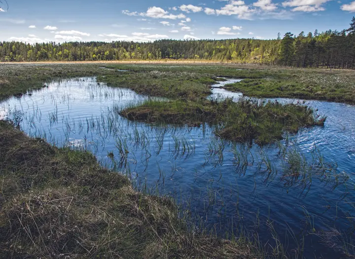 Naturreservat Heråmaden och Bastedalen